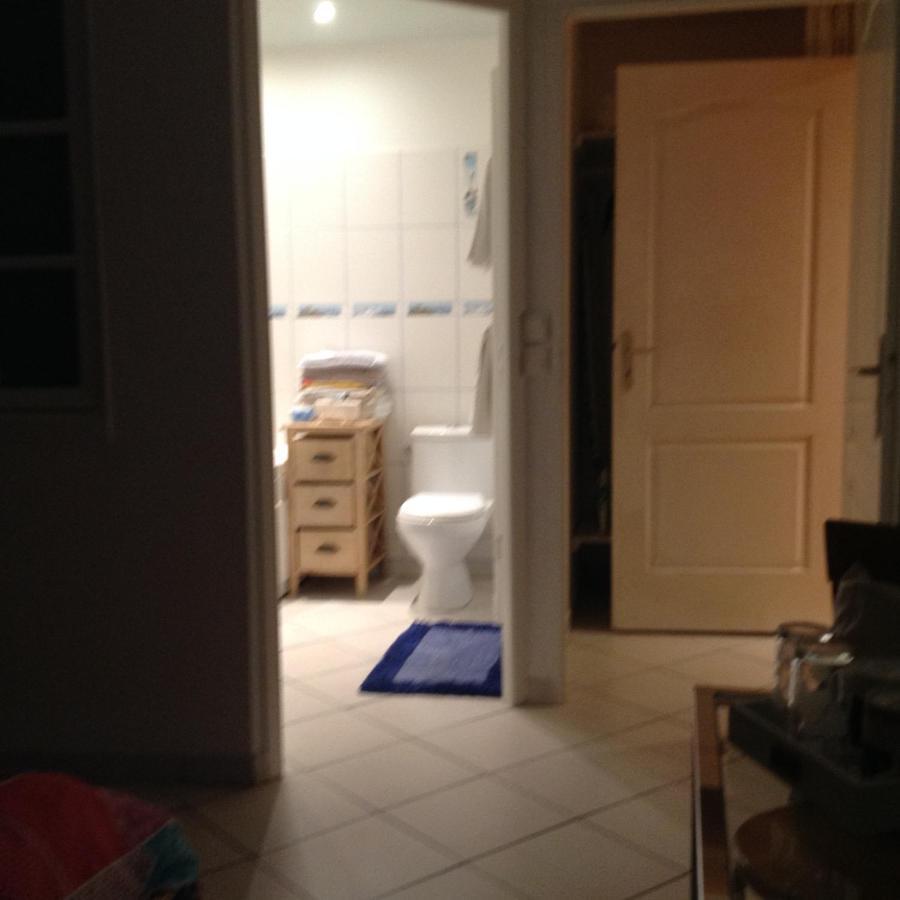 Les Roches De Coigne Apartment Sainte-Anne-sur-Vilaine Екстериор снимка
