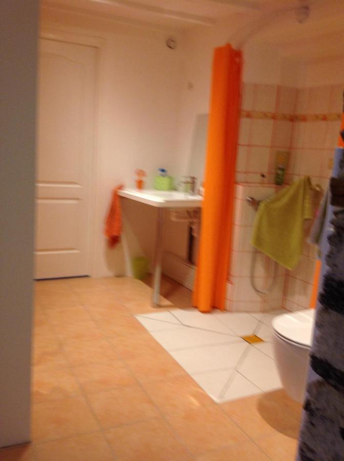 Les Roches De Coigne Apartment Sainte-Anne-sur-Vilaine Екстериор снимка